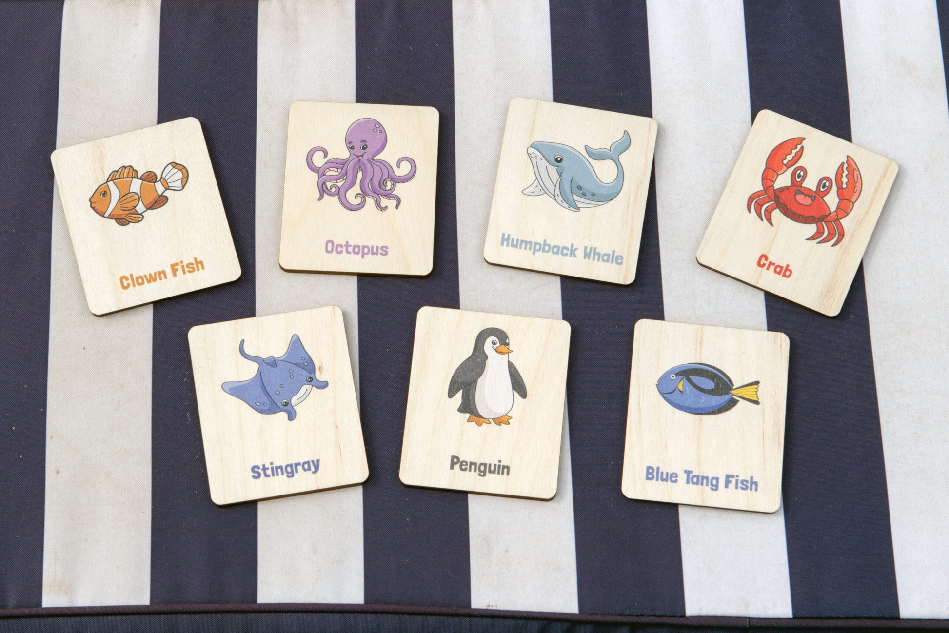 Flash Cards - Sea Creatures (14 images)