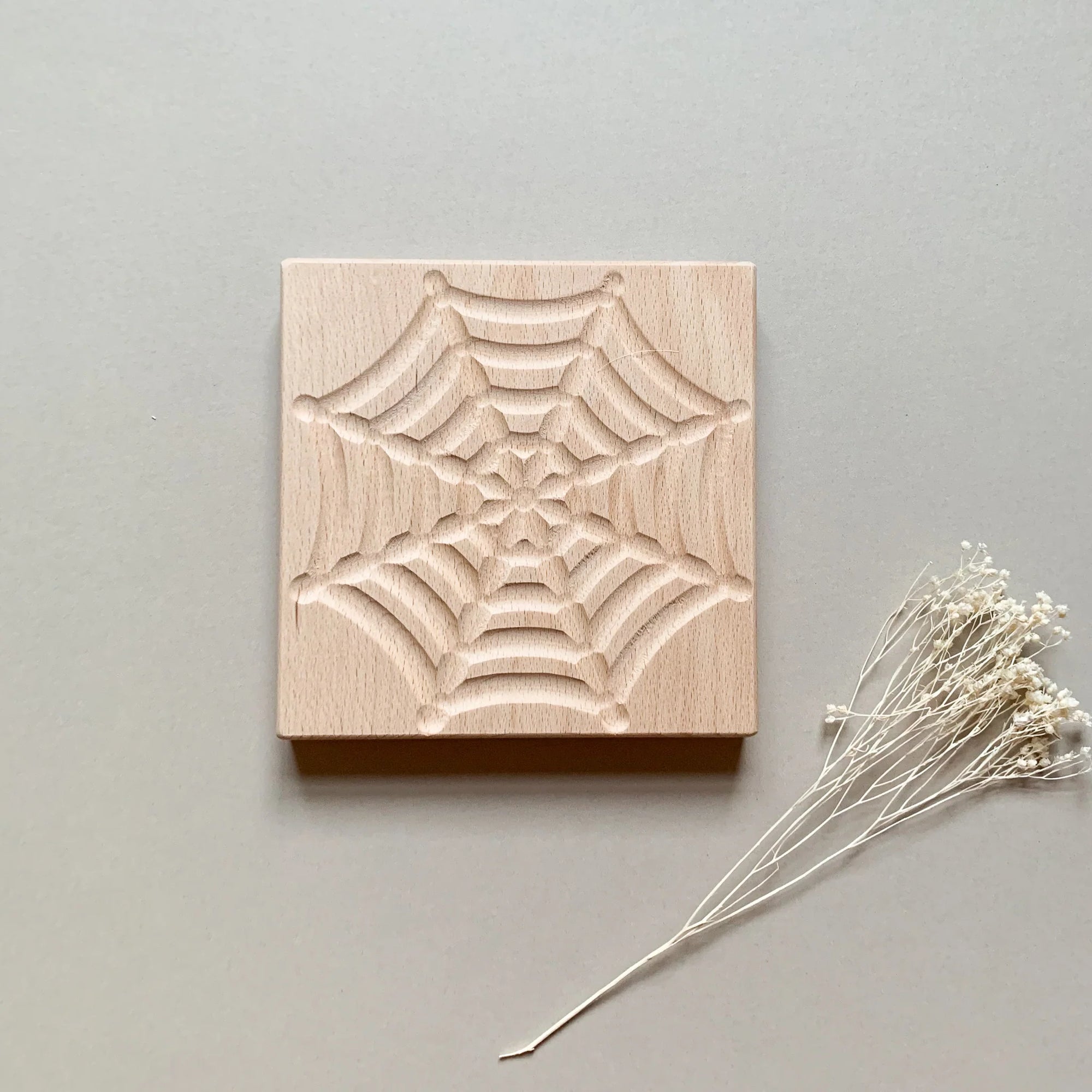 Breathing Board - Spiderweb - The Ministry of Outdoor Education