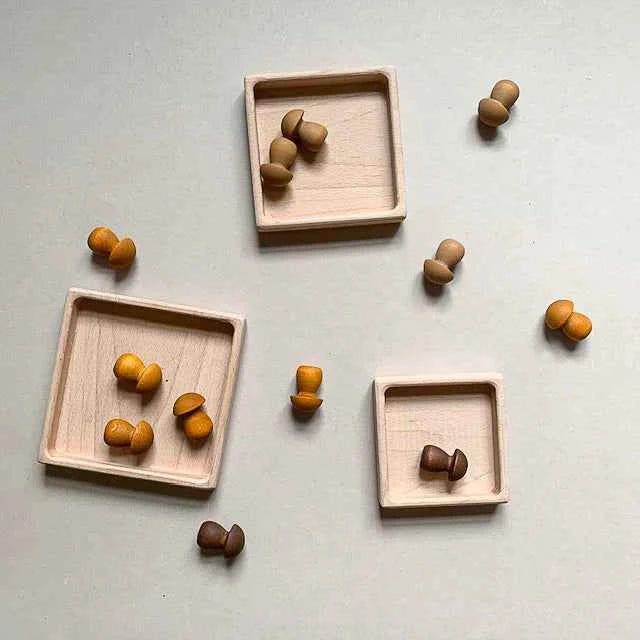 Sorting Trays - Square ( Set of 3)