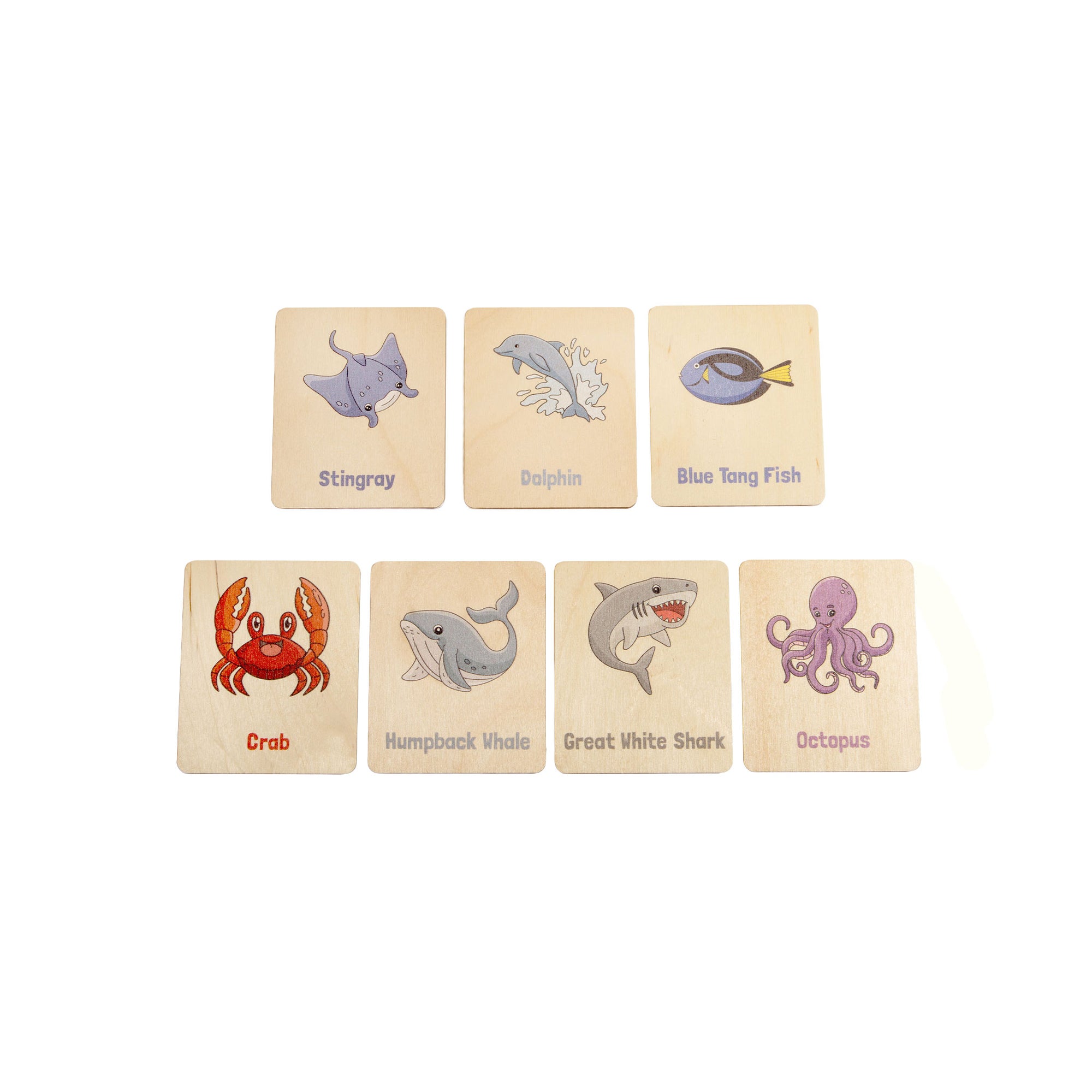 Flash Cards - Sea Creatures (14 images)