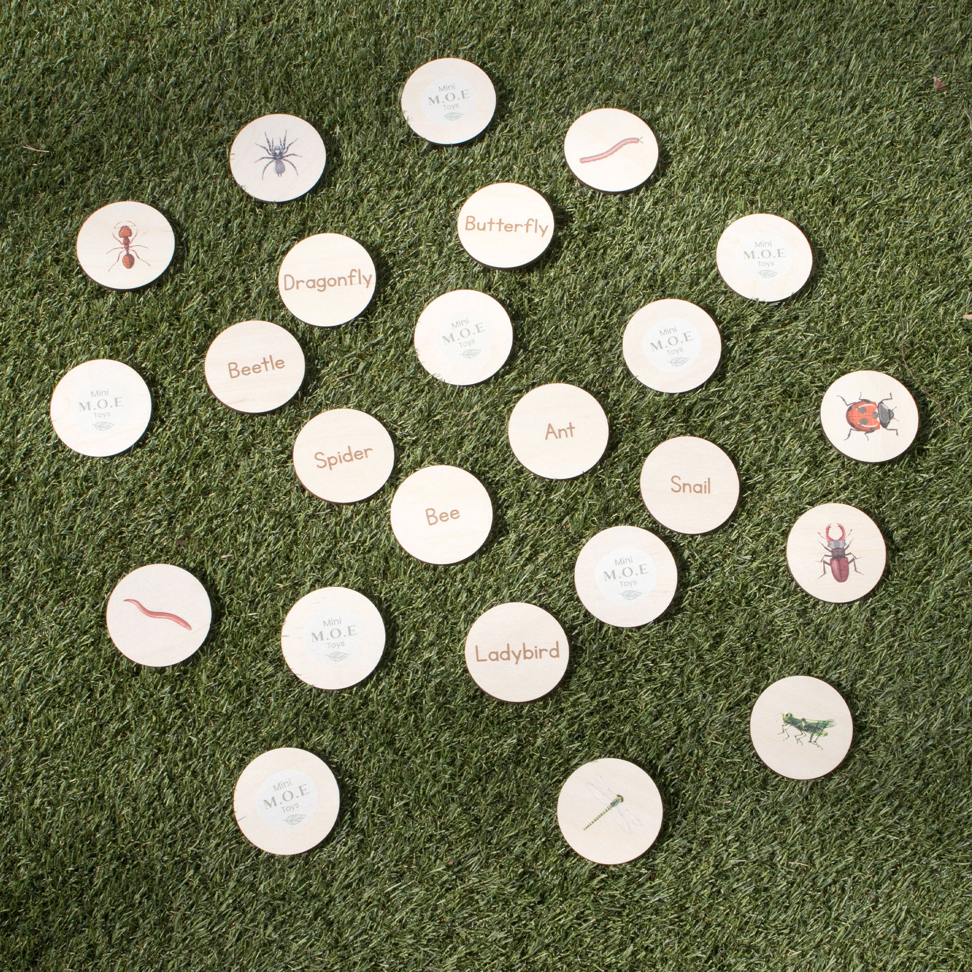 Disc Hunt Game - Bugs & Insects - The Ministry of Outdoor Education