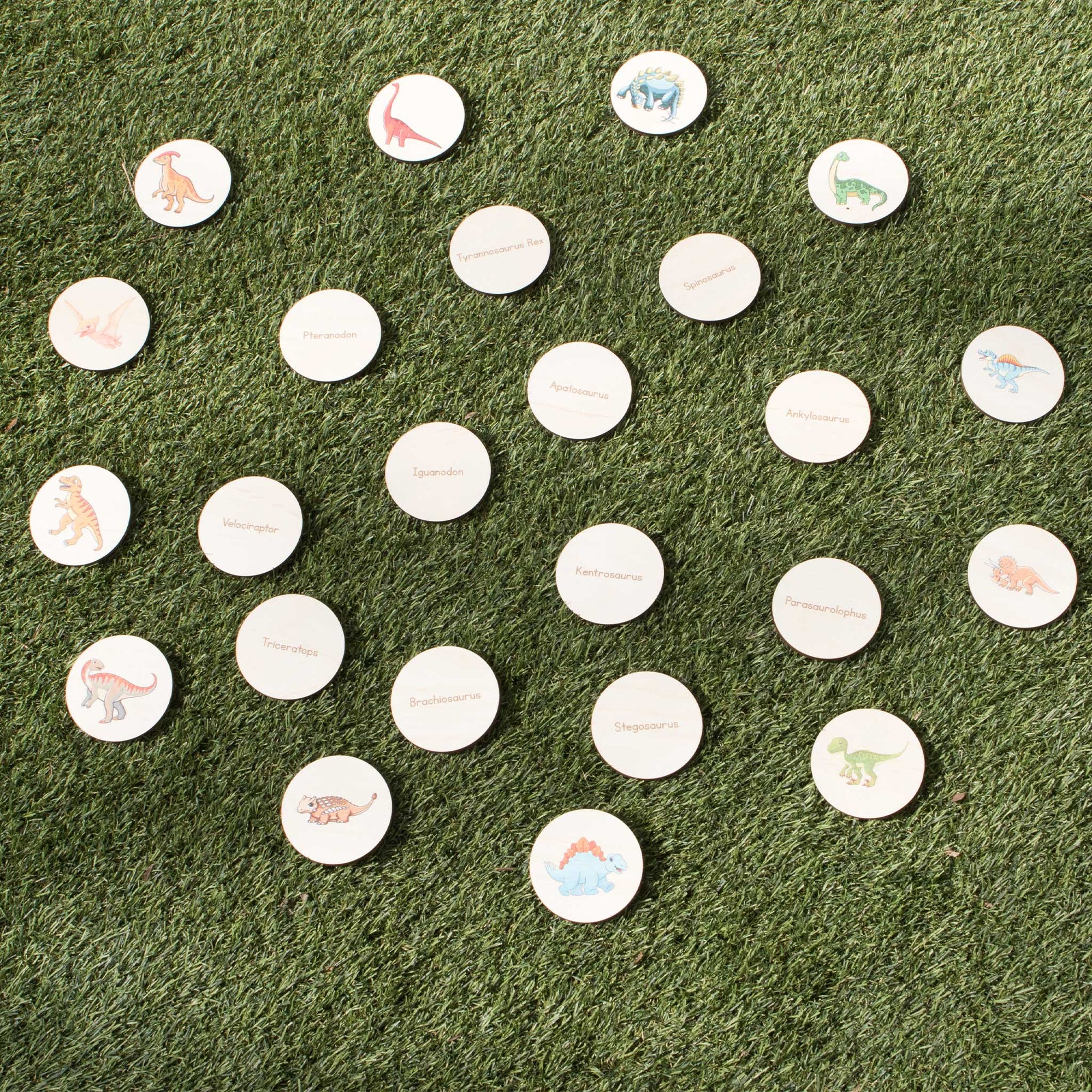 Disc Hunt Game - Dinosaurs (Set 2)