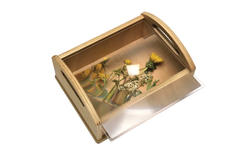 Outdoor Magnifying Carry Box - The Ministry of Outdoor Education