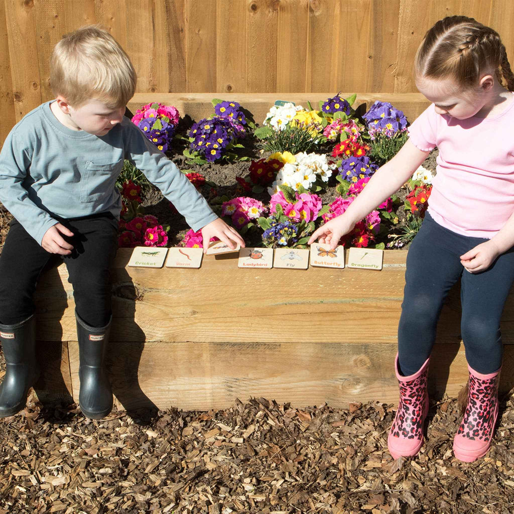 Flash Cards - Bugs & Insects (14 images)