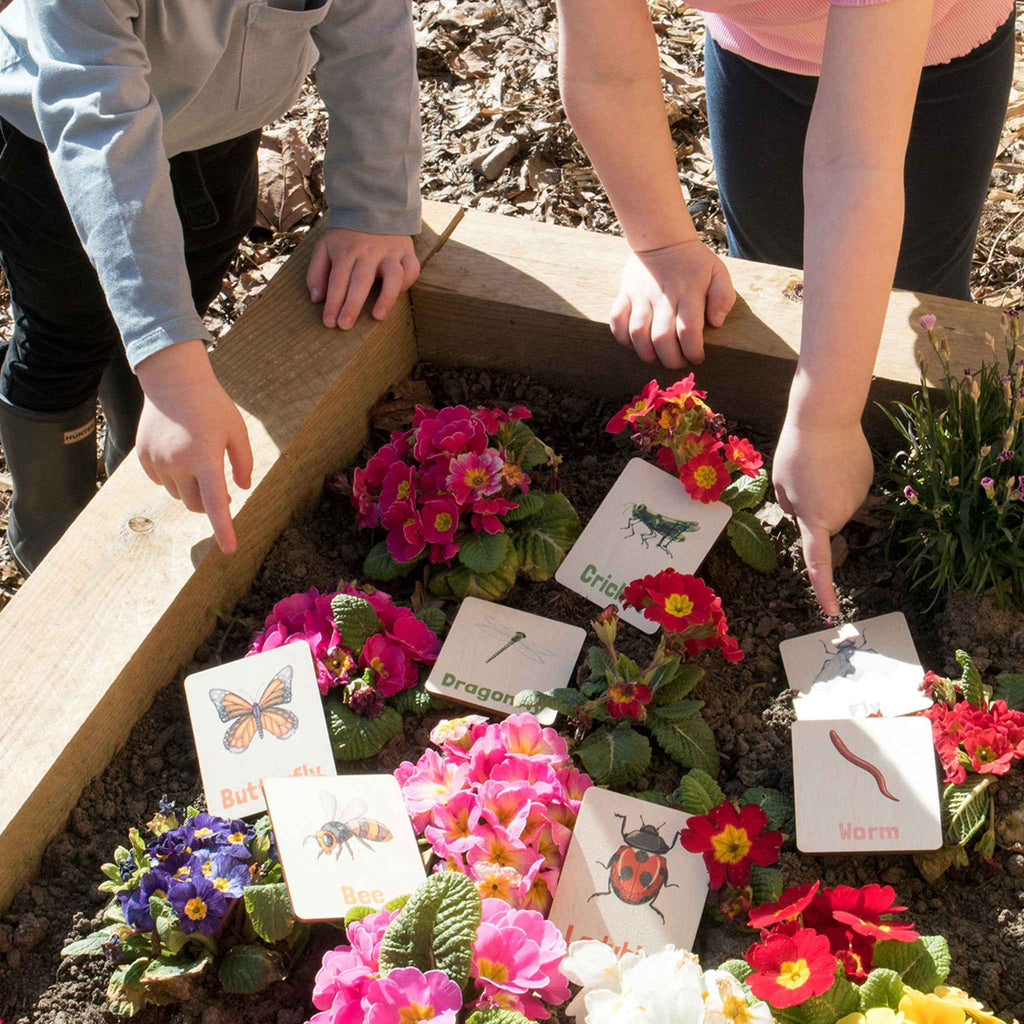 Flash Cards - Bugs & Insects (14 images)