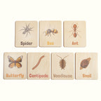 Flash Cards - Bugs & Insects (14 images)