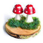Forest School - Crafting Kit