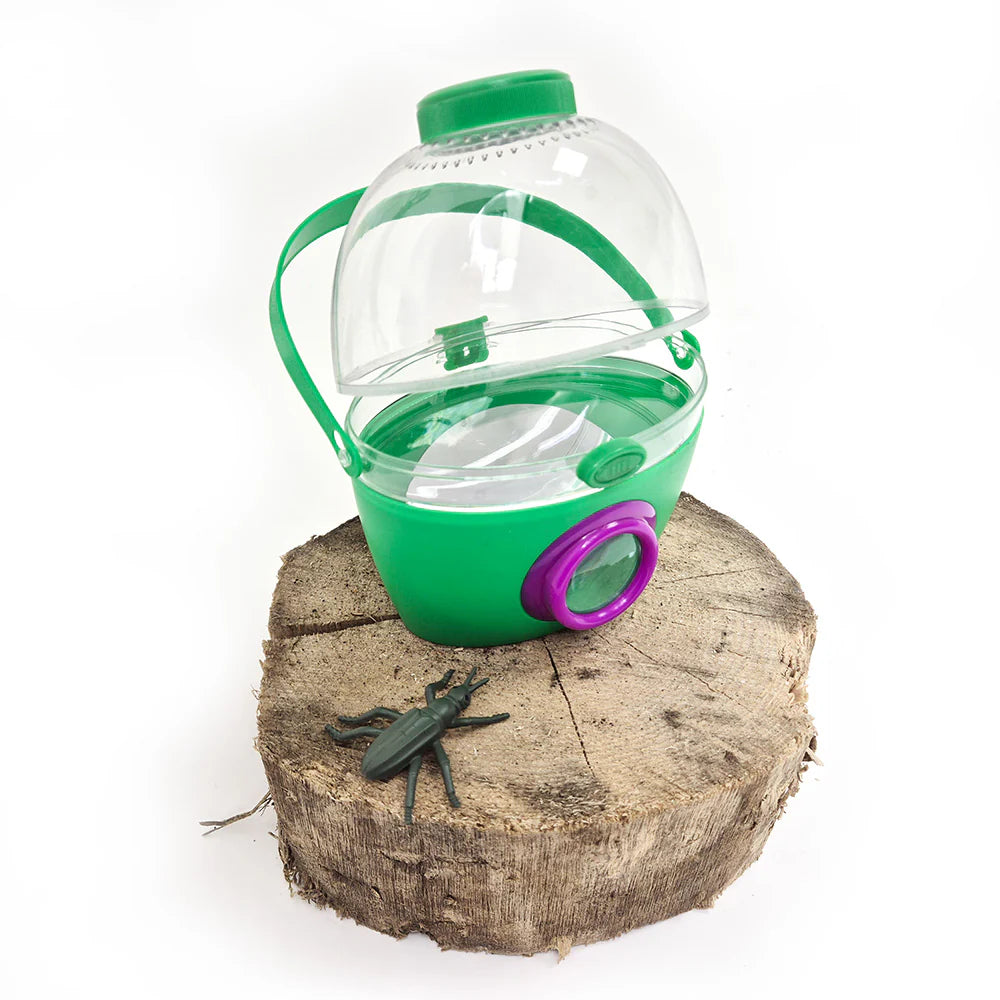 Forest School - Urban School Kit