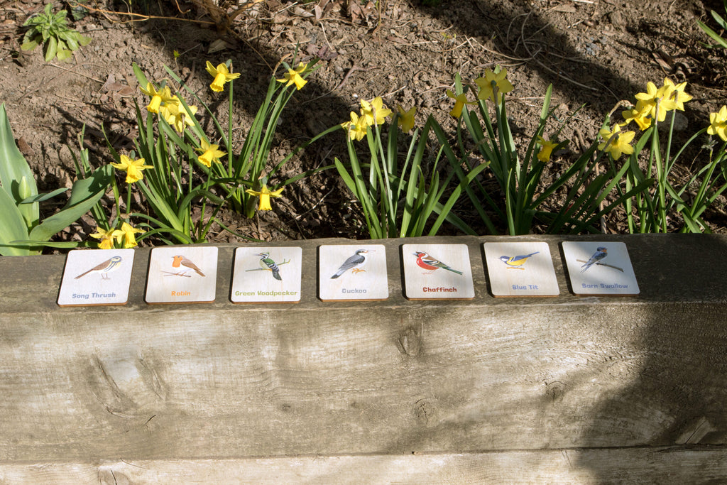 Flash Cards - Garden Birds (14 images) - The Ministry of Outdoor Education