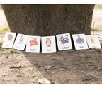 Flash Cards - Woodland Animals (14 images)