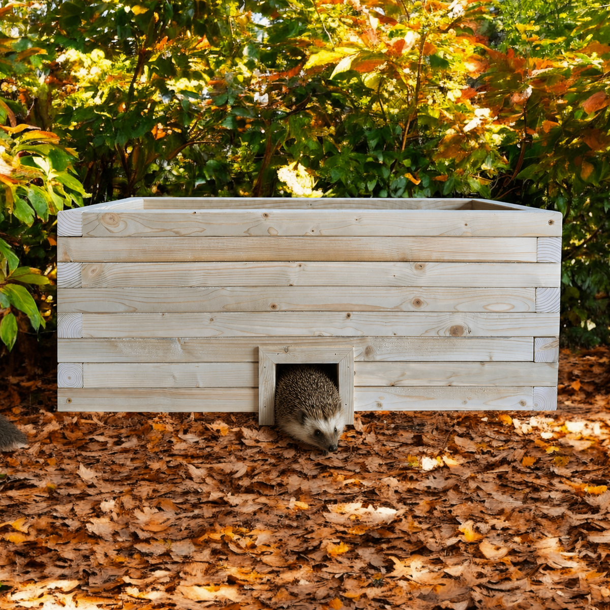 Hedgehog House and Planter