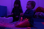 Mains Interactive Light Source with Remote Controller + 1M Clear Strands  - The Ministry of Outdoor Education