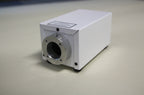 Mains Interactive Light Source with Remote Controller + 1M Clear Strands