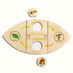 Life Cycle Puzzle - Butterfly