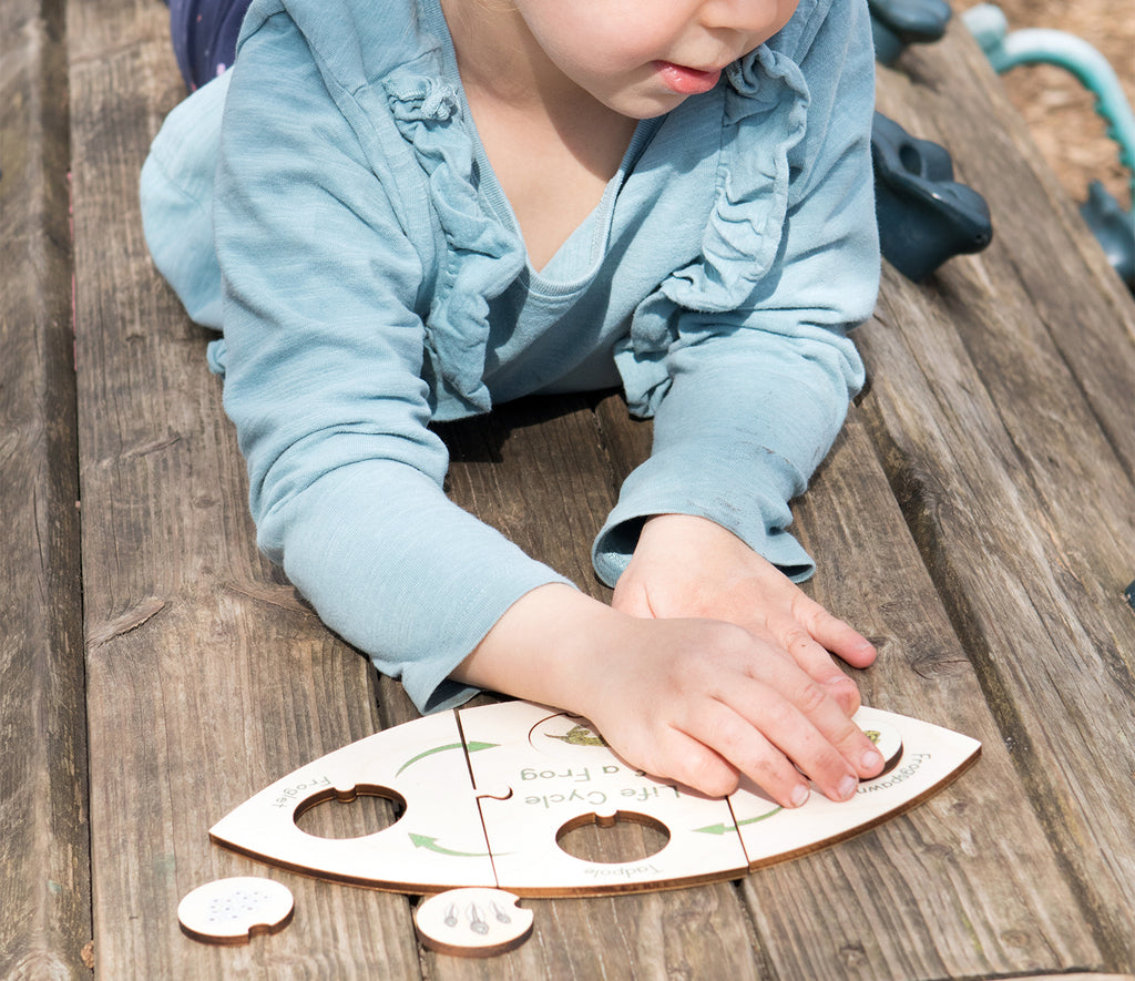 Life Cycle Puzzle - Frog  - The Ministry of Outdoor Education