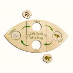 Life Cycle Puzzle - Frog