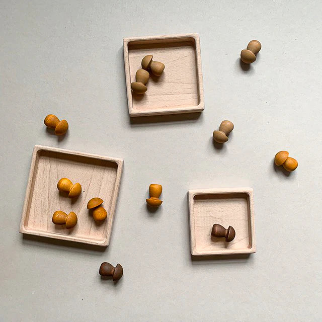 Sorting Trays - Square ( Set of 3) - The Ministry of Outdoor Education