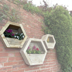 Hexagon Wall Mounted Planter