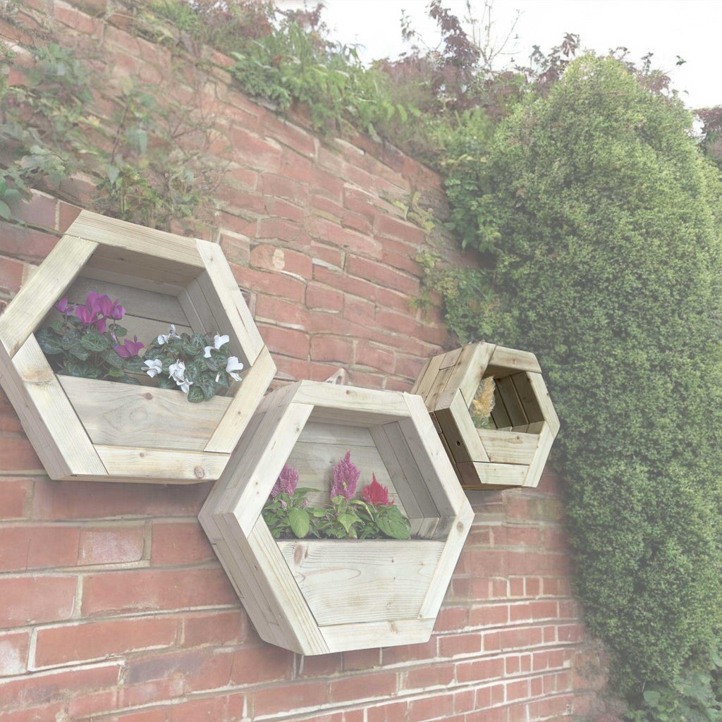 Hexagon Wall Mounted Planter