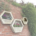 Hexagon Wall Mounted Planter