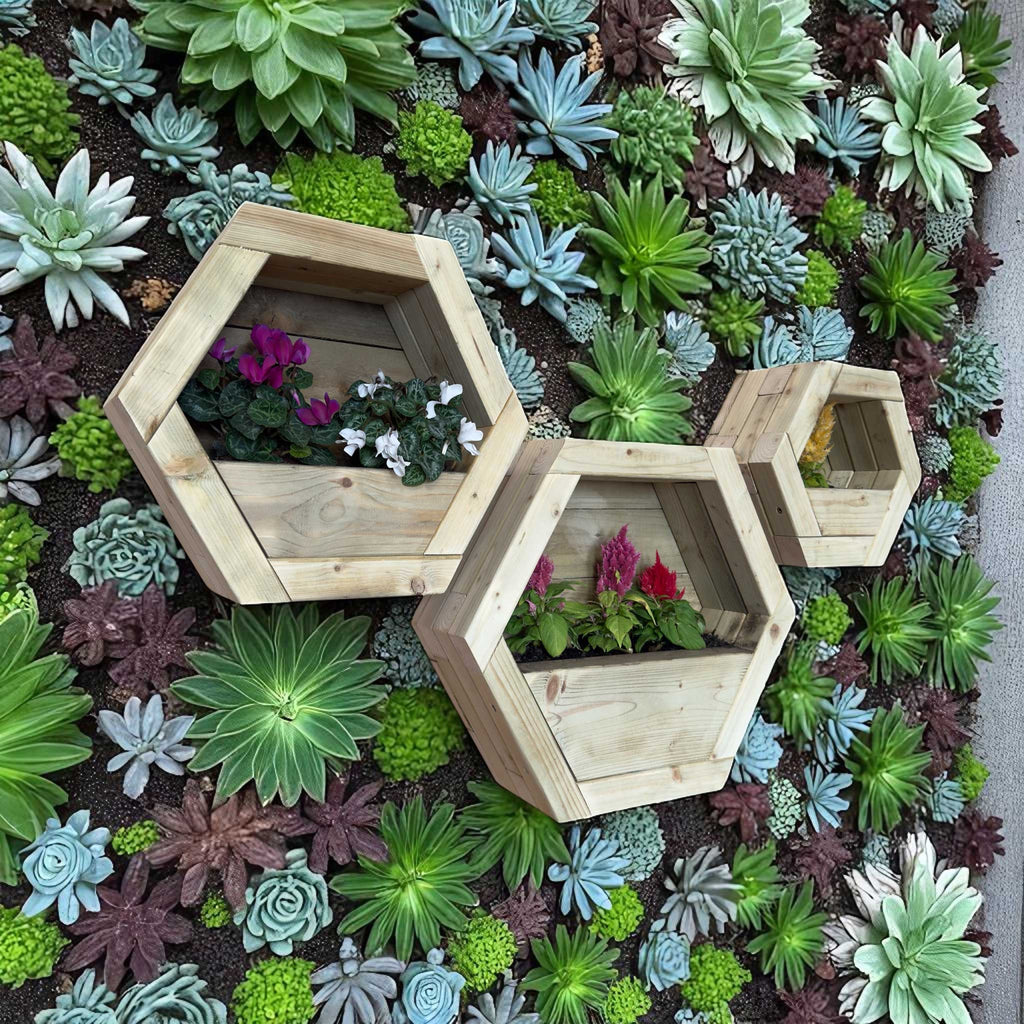 Hexagon Wall Mounted Planter