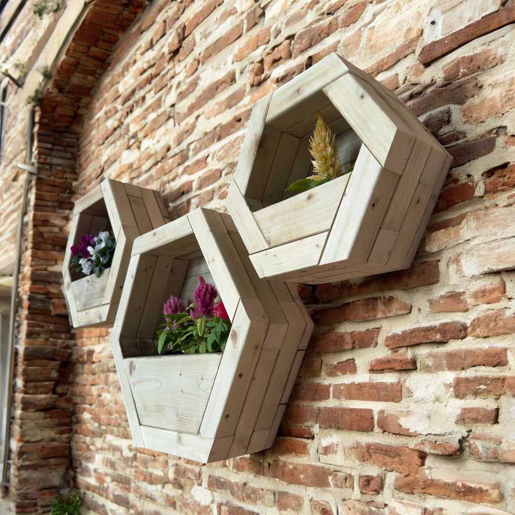 Hexagon Wall Mounted Planter