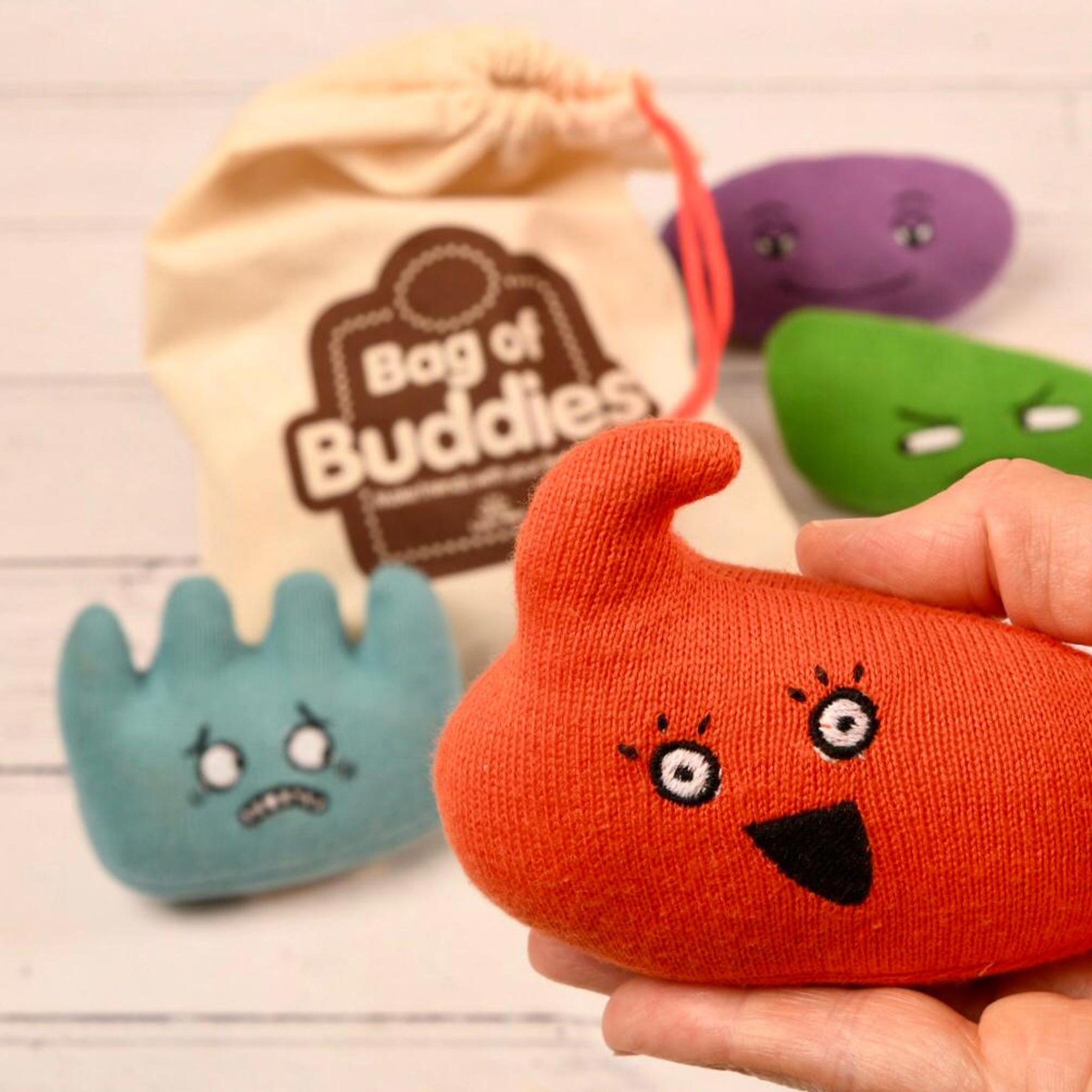 Bag of Buddies - Set 2