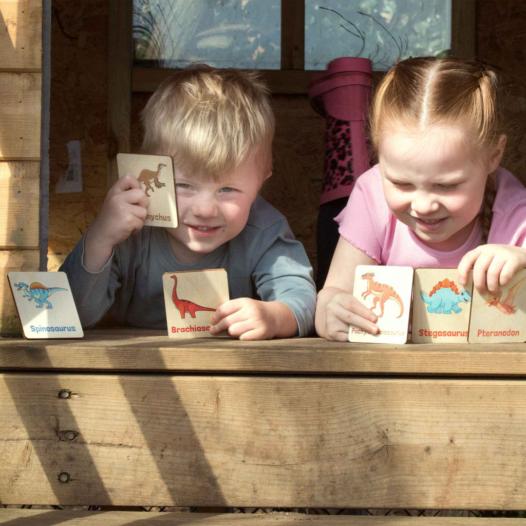 Flash Cards - Dinosaurs (14 images)