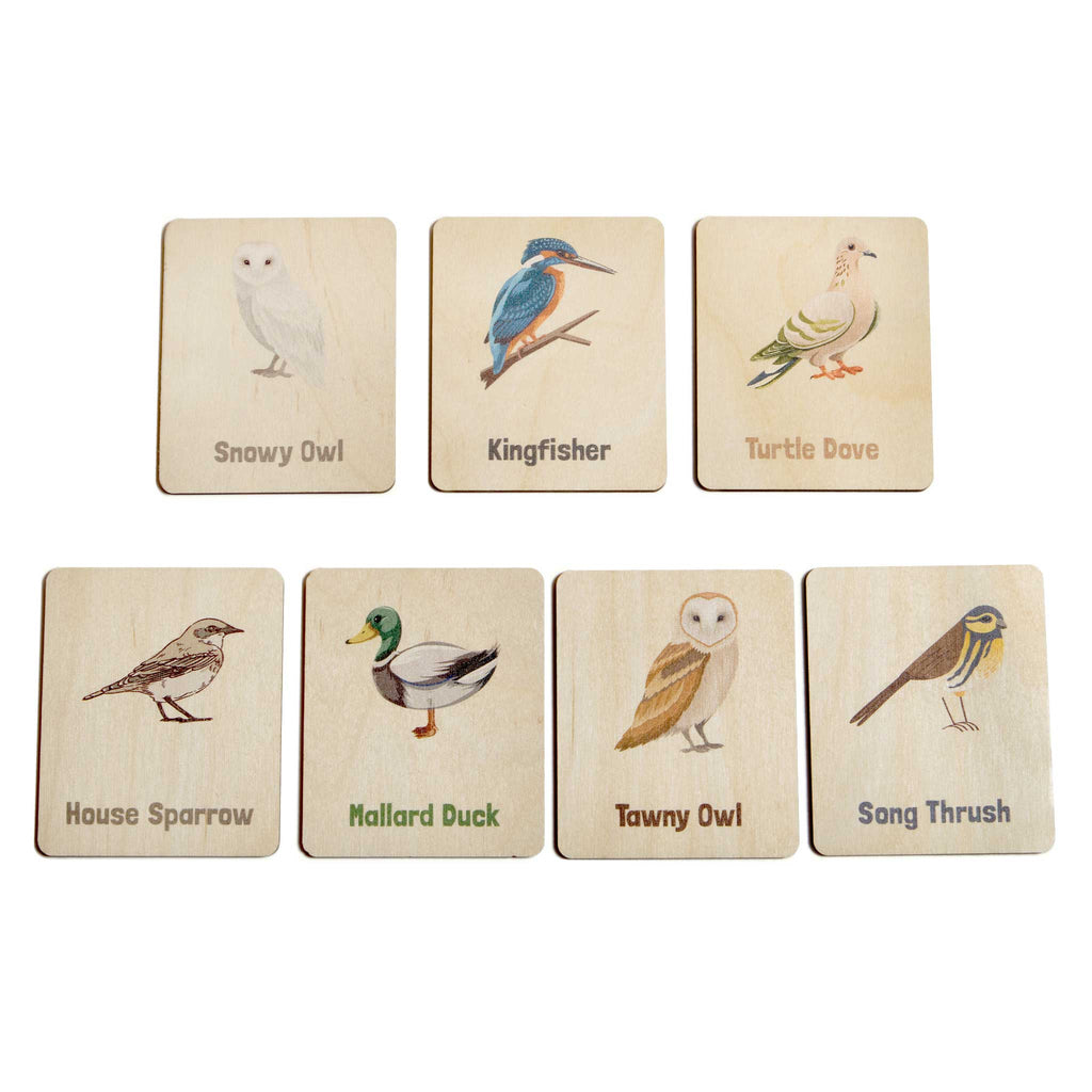 Flash Cards - UK Birds (14 images)