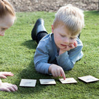 Flash Cards - UK Birds (14 images)