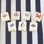 Flash Cards - Sea Creatures (14 images)