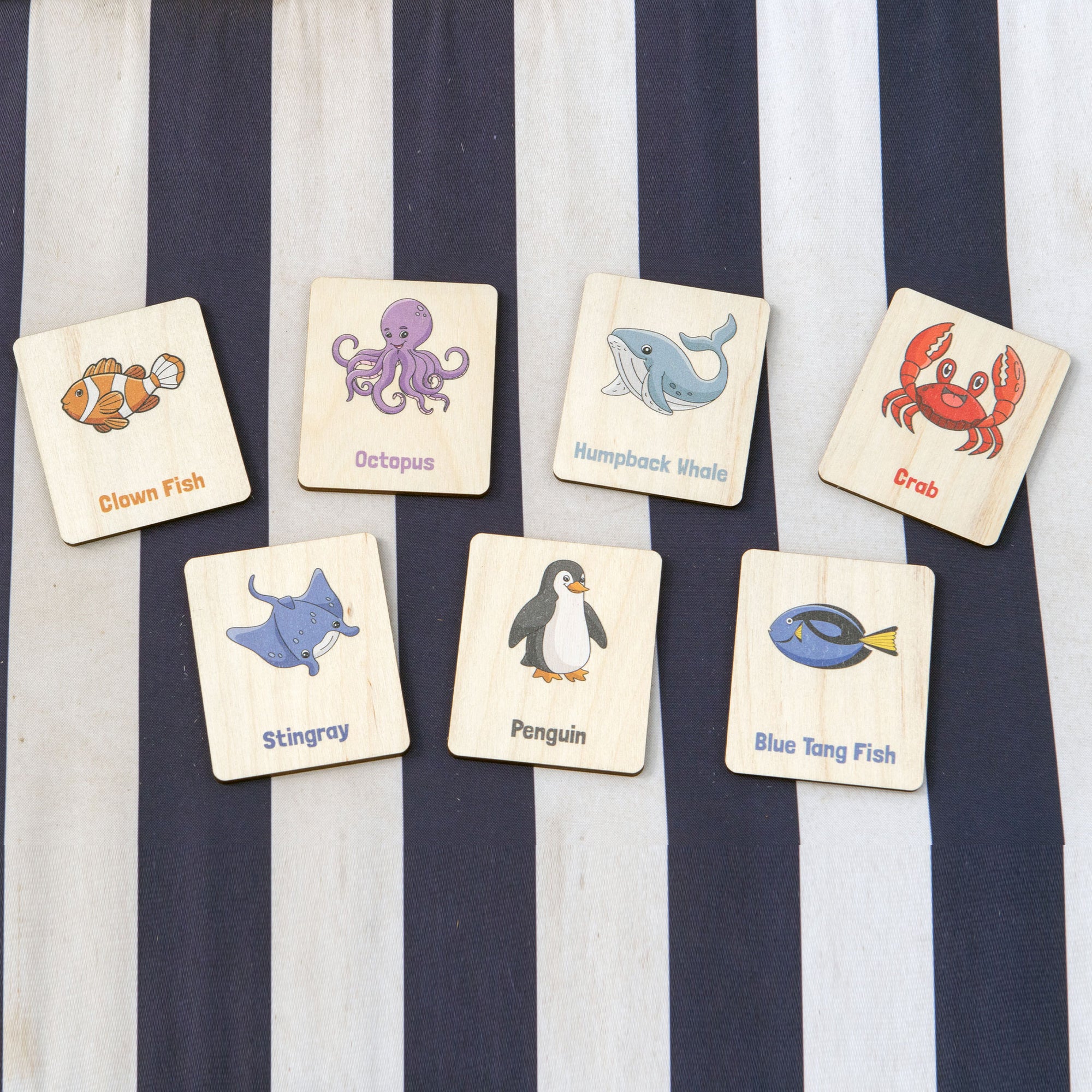 Flash Cards - Sea Creatures (14 images)