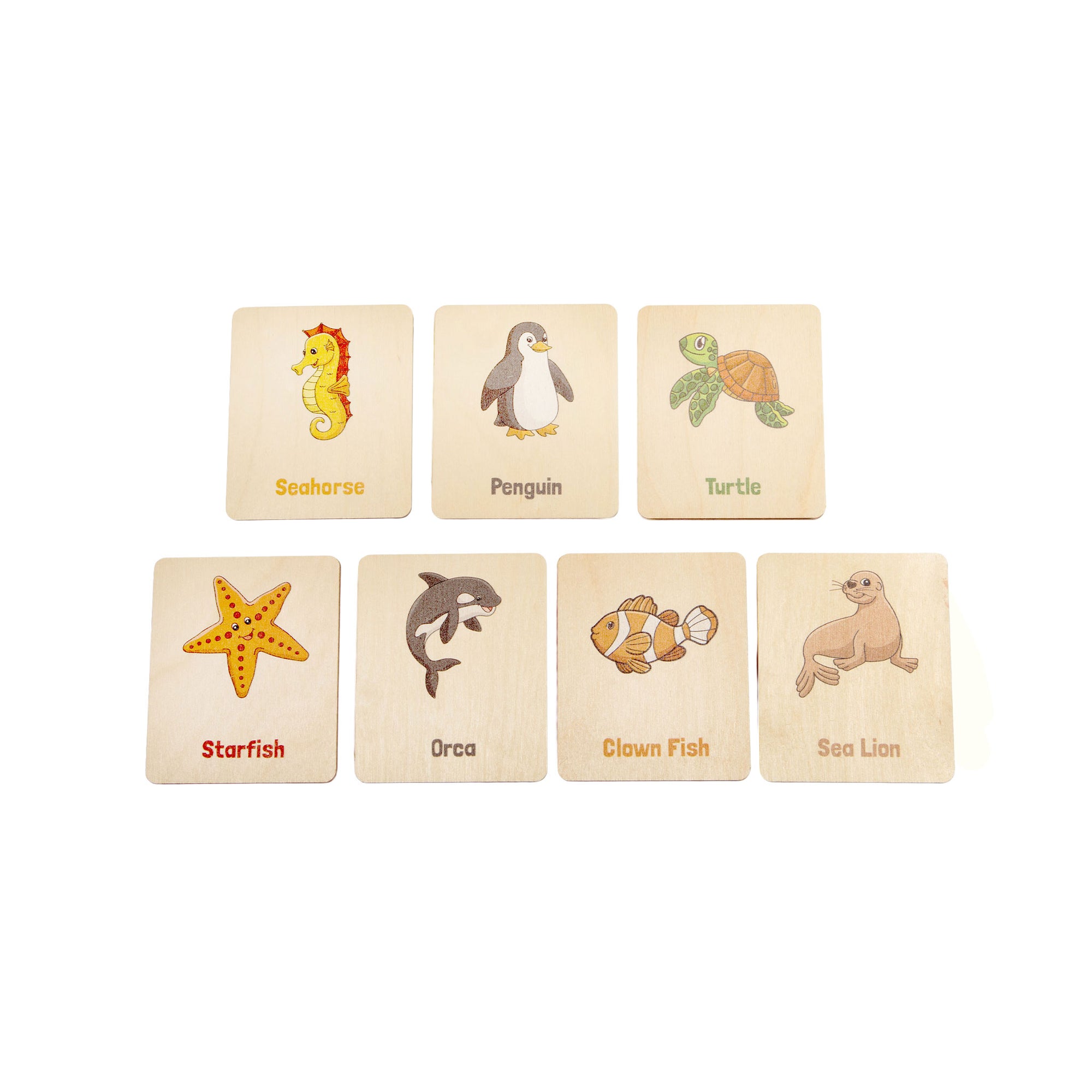 Flash Cards - Sea Creatures (14 images)