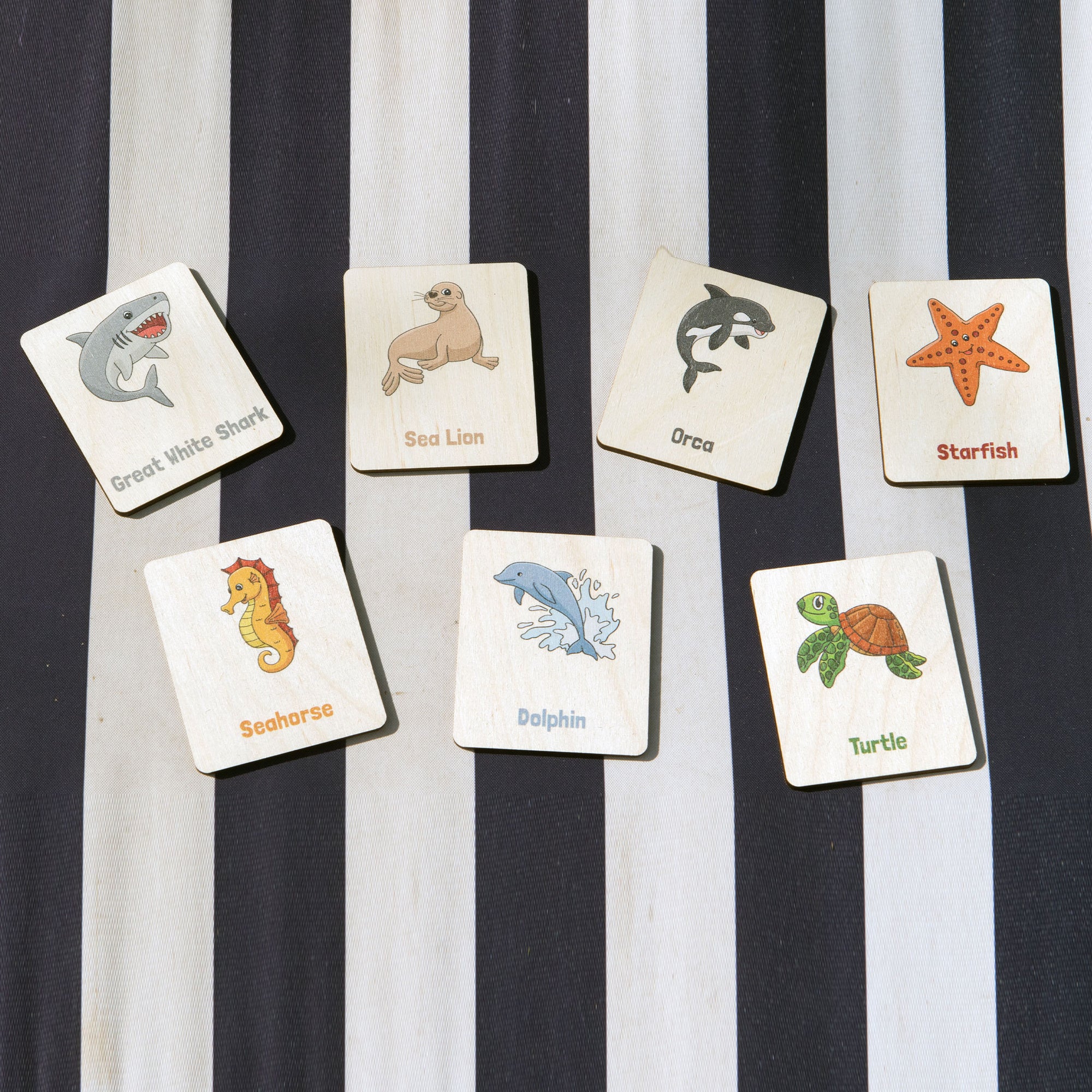 Flash Cards - Sea Creatures (14 images)