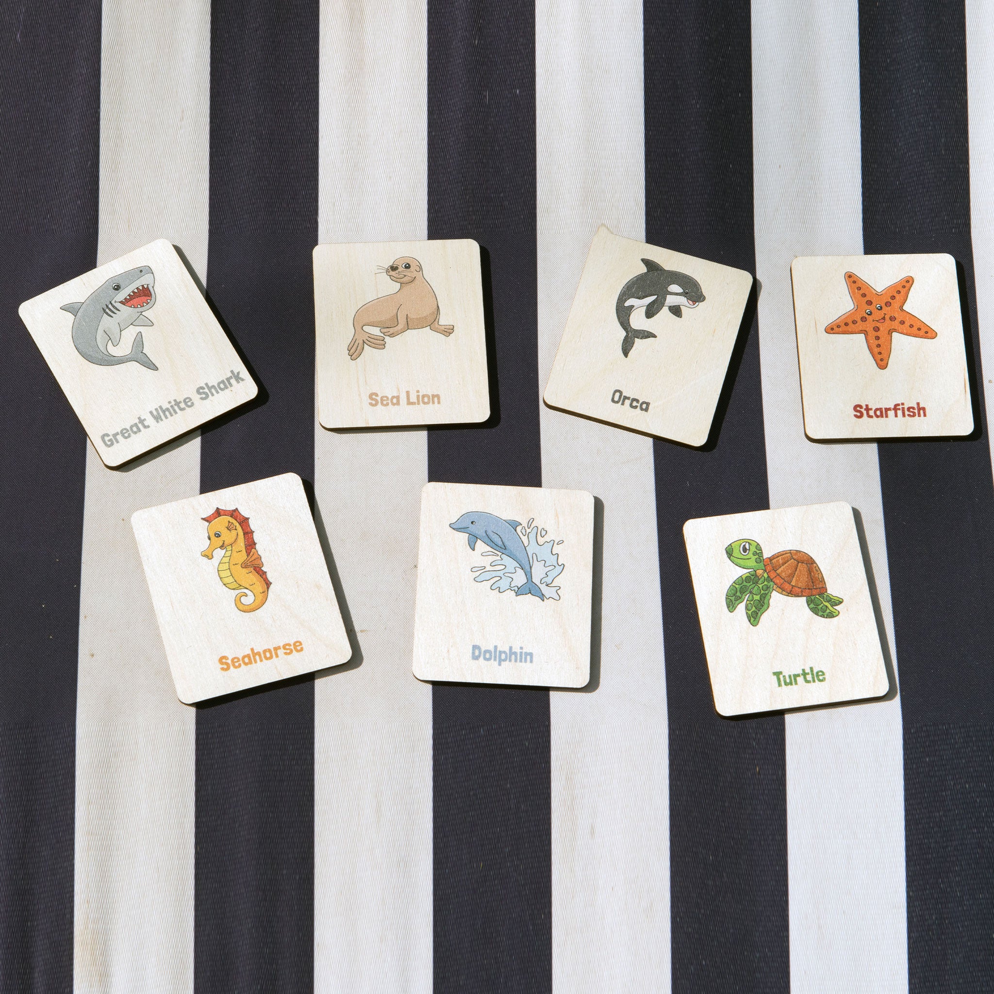 Flash Cards - Sea Creatures (14 images)