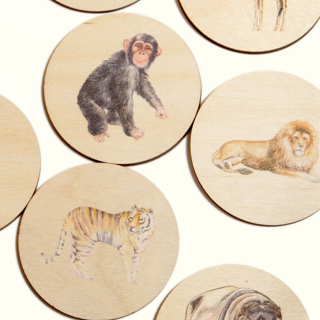 Pick Pairs Game - Zoo Animals  - The Ministry of Outdoor Education