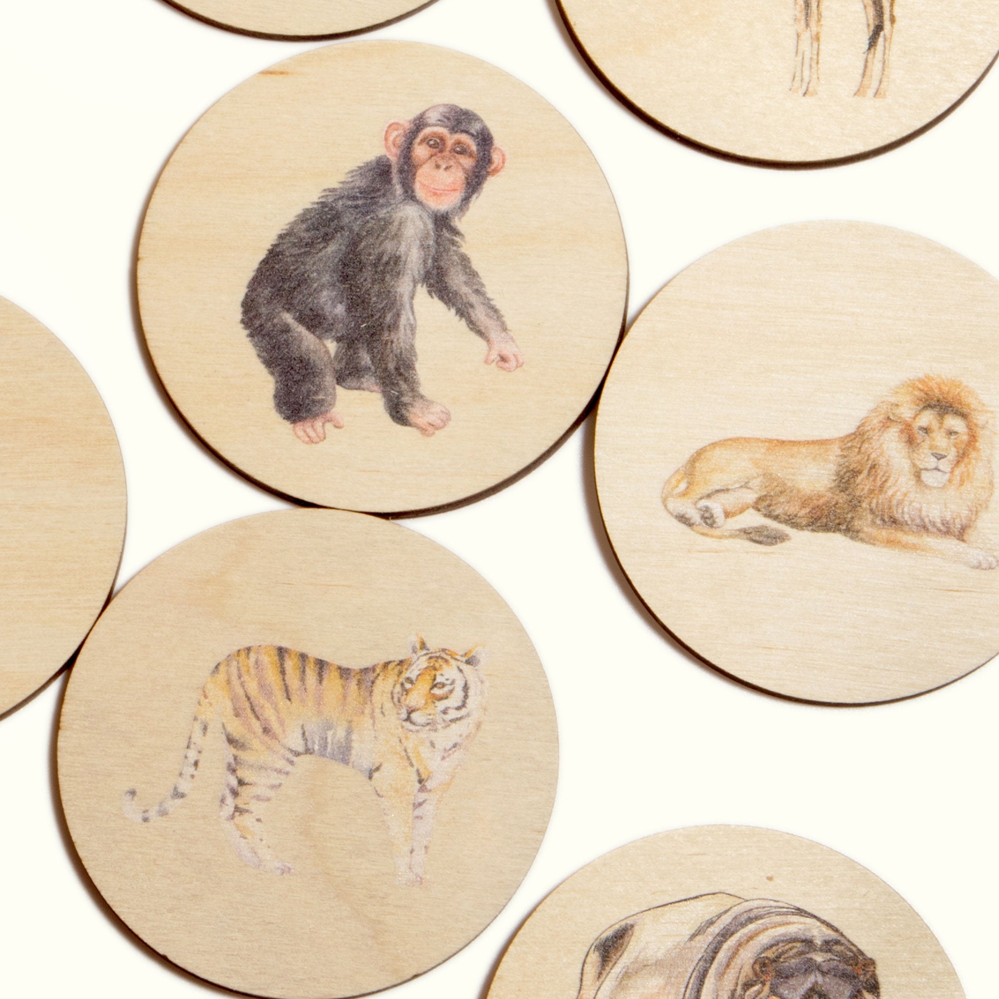 Pick Pairs Game - Zoo Animals