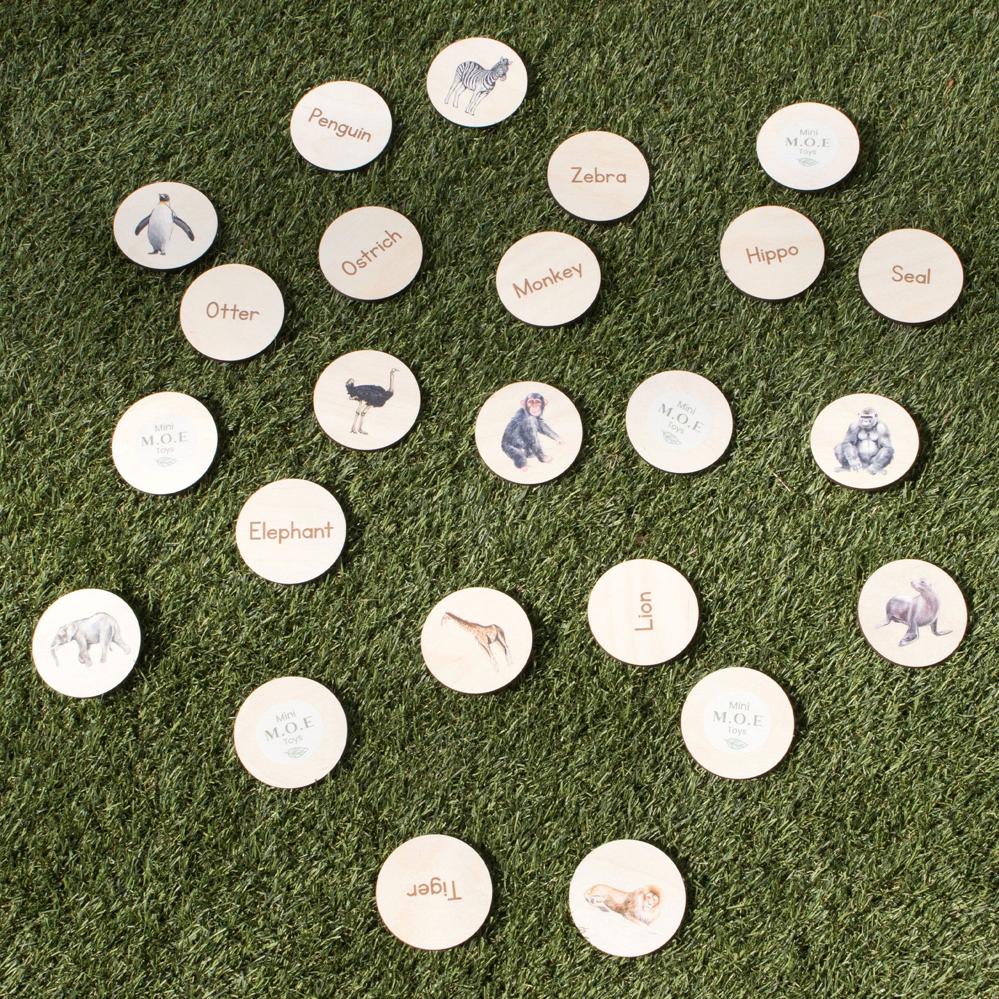 Disc Hunt Game - Zoo Animals - The Ministry of Outdoor Education