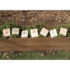 Flash Cards - Zoo Animals