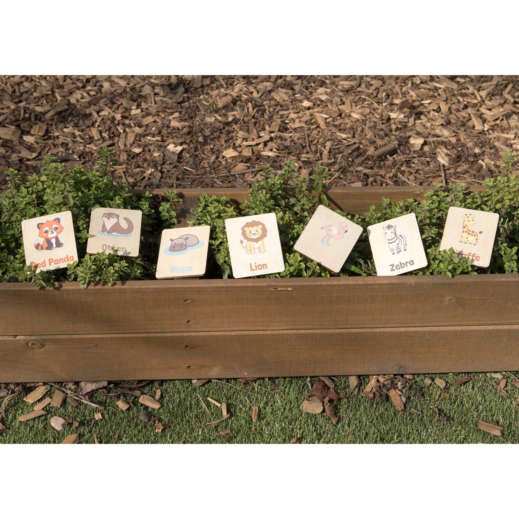 Flash Cards - Zoo Animals