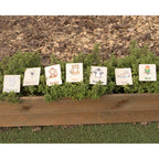 Flash Cards - Zoo Animals