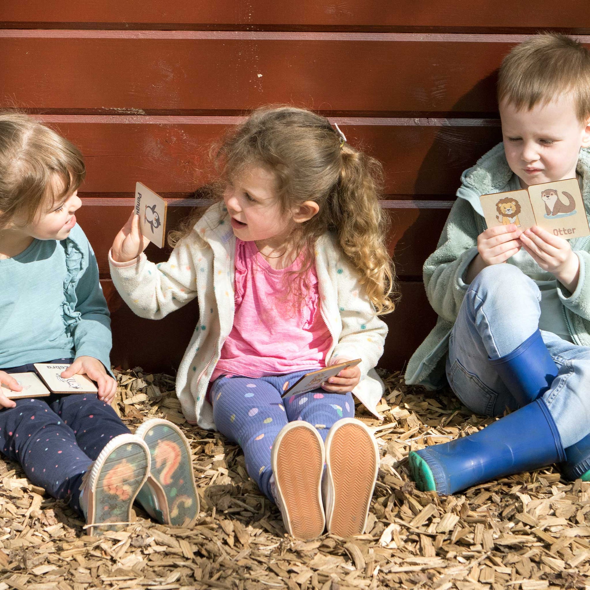 Flash Cards - Zoo Animals