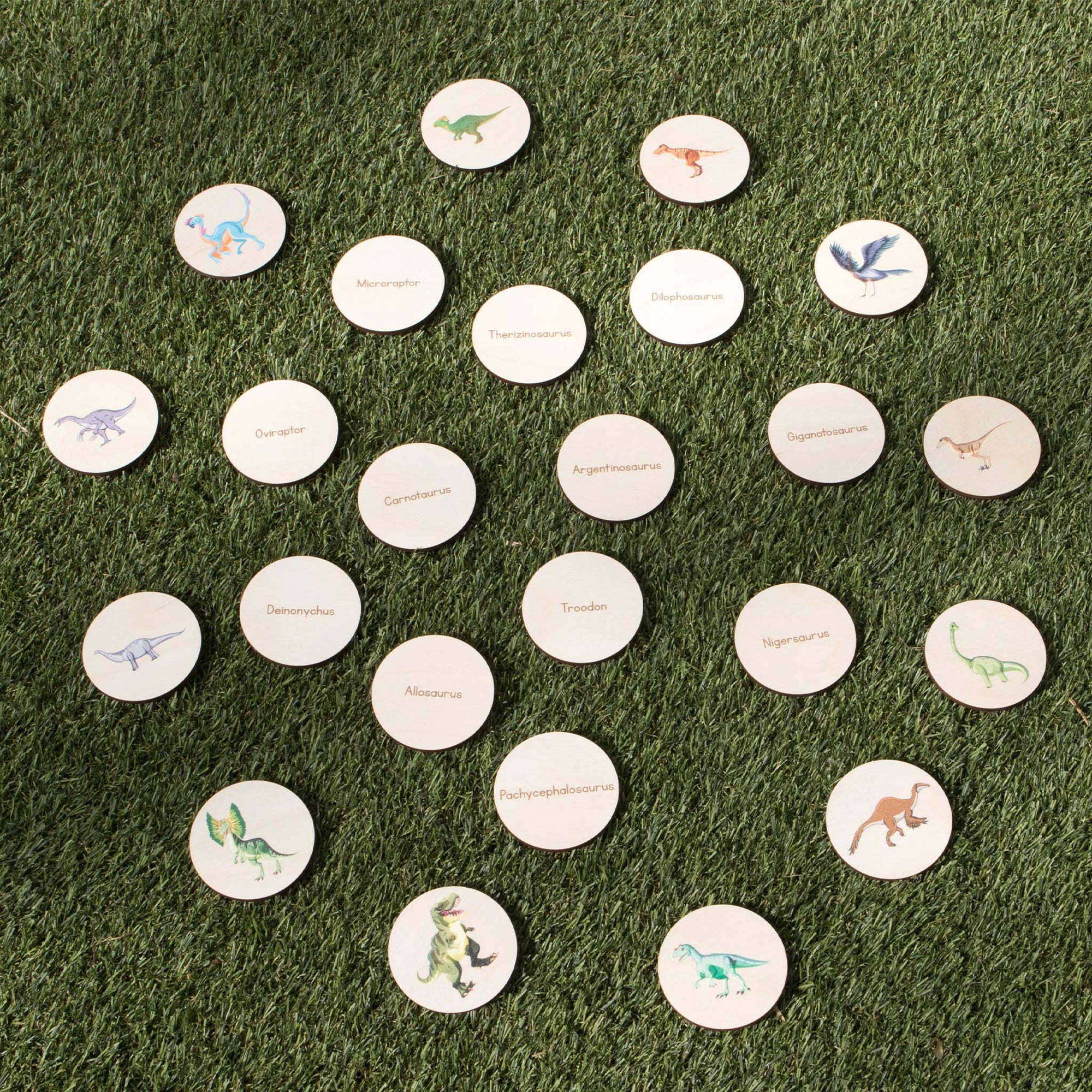 Disc Hunt Game - Dinosaurs (Set 1)
