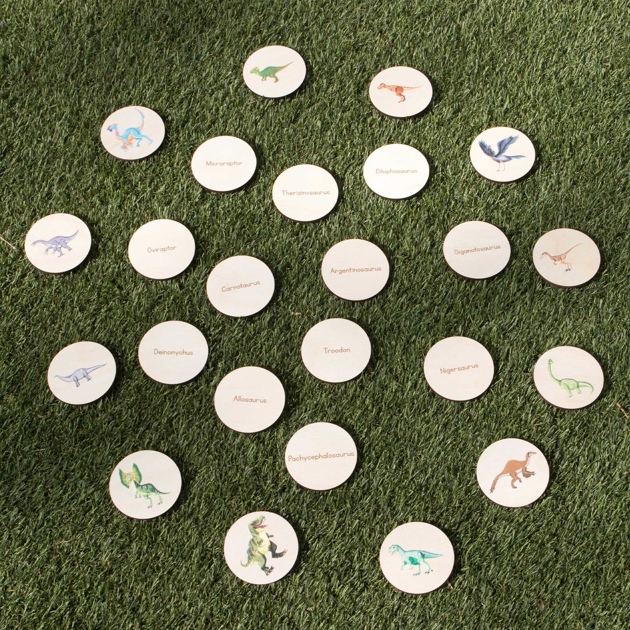 Disc Hunt Game - Dinosaurs (Set 1)