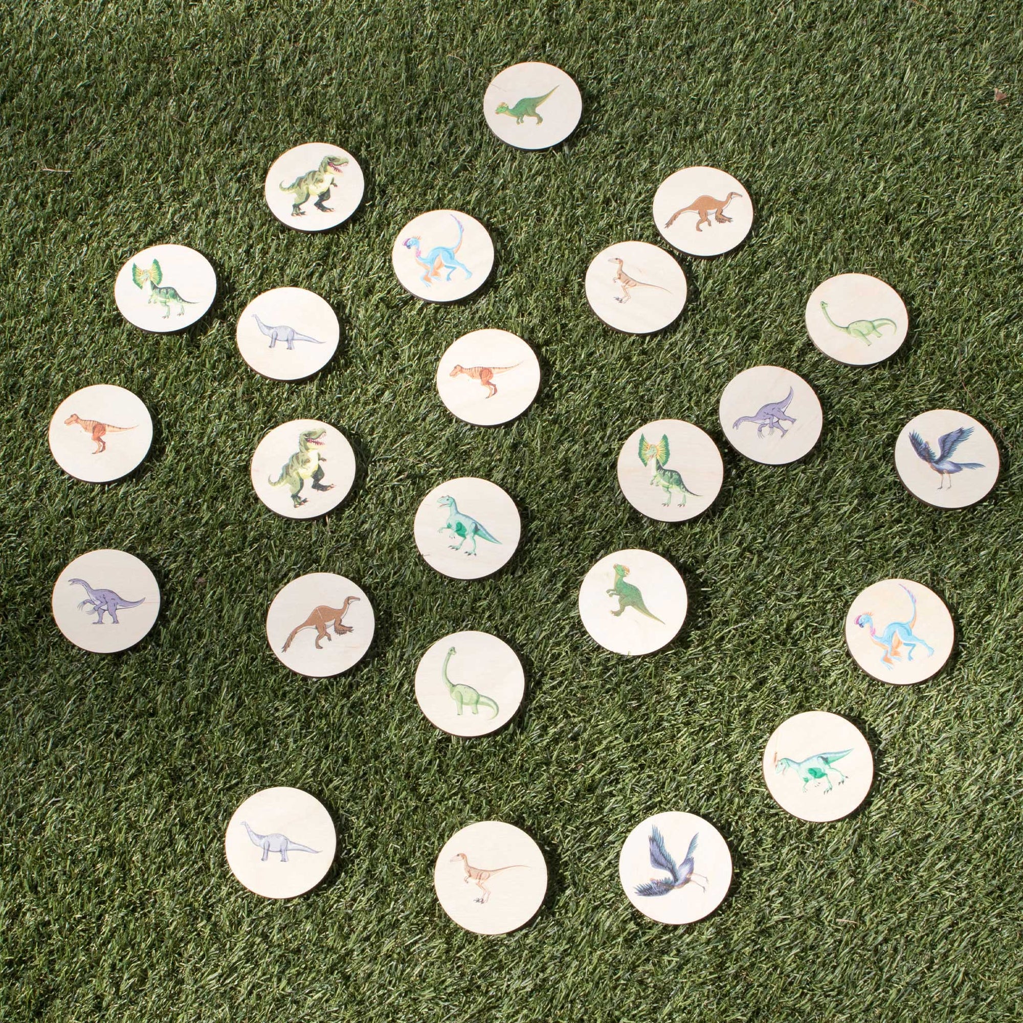 Pick Pairs Game - Dinosaurs (Set 2)