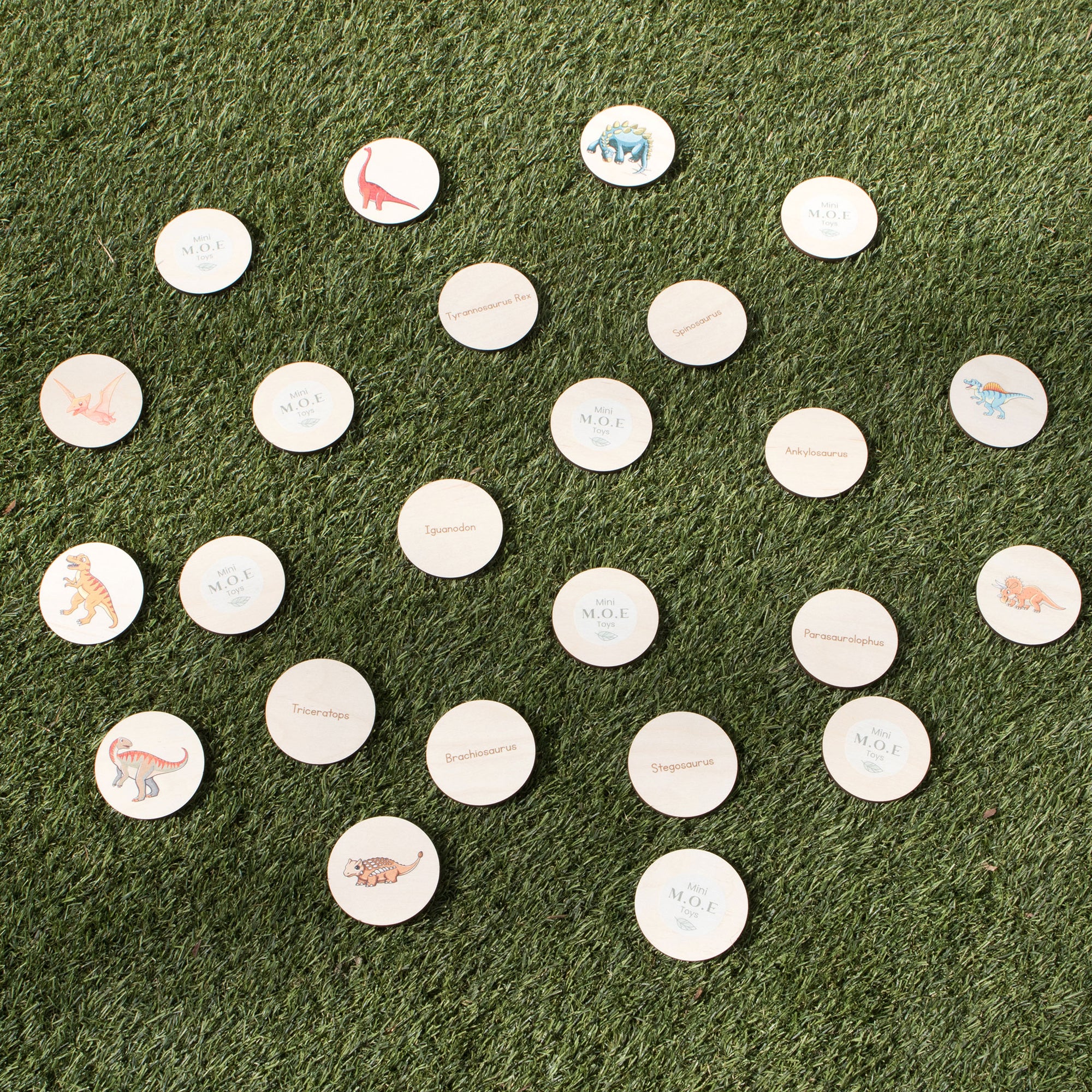 Disc Hunt Game - Dinosaurs (Set 2)