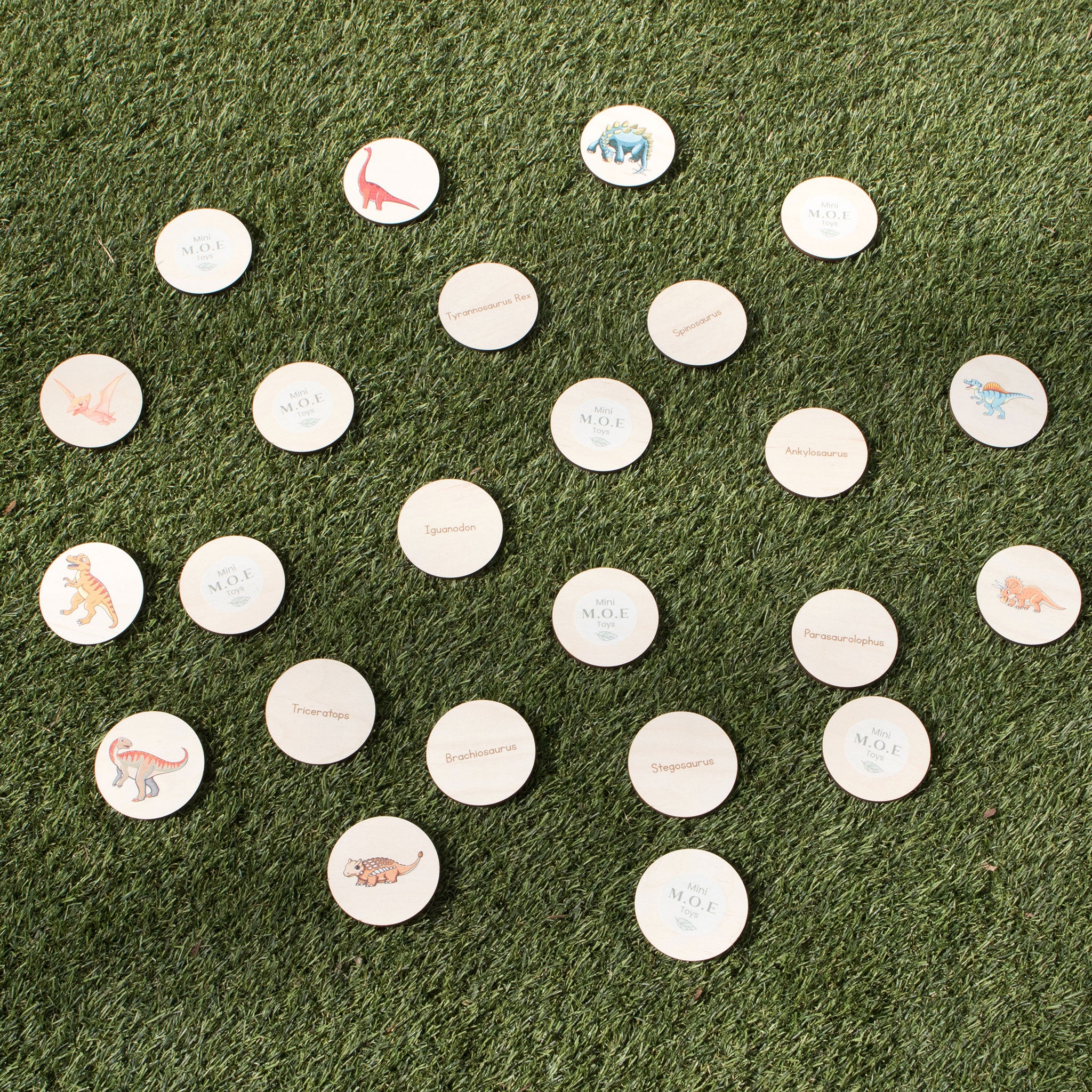 Disc Hunt Game - Dinosaurs (Set 2)
