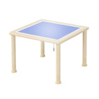 Discovery Table with LED Lights