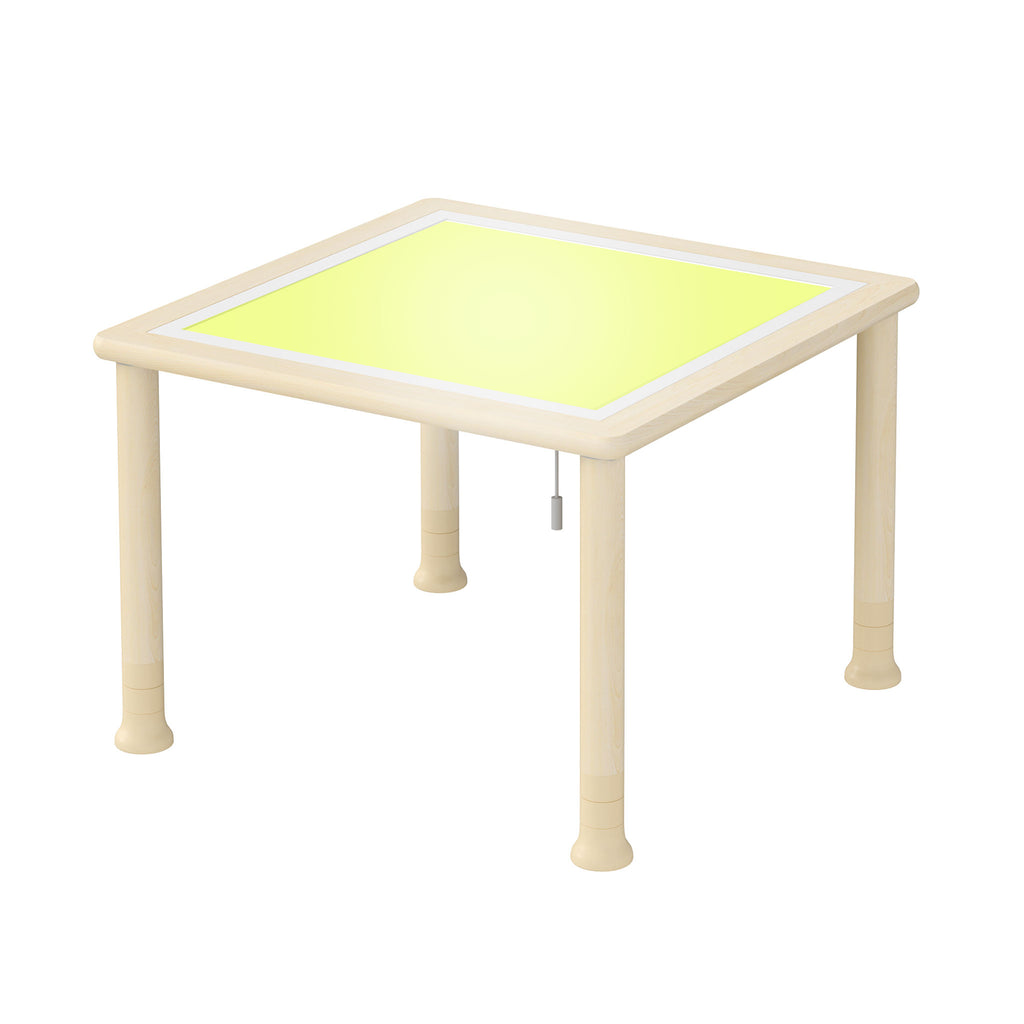 Discovery Table with LED Lights