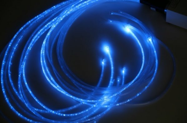 Battery Interactive Light Source with Remote Controller + 1M Clear Strands  - The Ministry of Outdoor Education